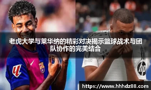 星空体育(中国)官方网站